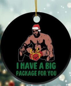 I Have A Big Package For You barry wood ornament Christmas