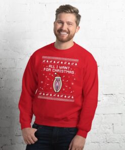 All I Want For Christmas Rude Funny Dirty Sweater