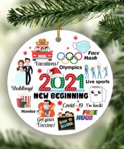 Christmas Ornaments 2021 In A Year Review Decorative