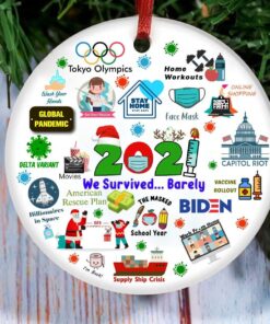 Funny 2021 Christmas Pandemic Year in Review Ornaments
