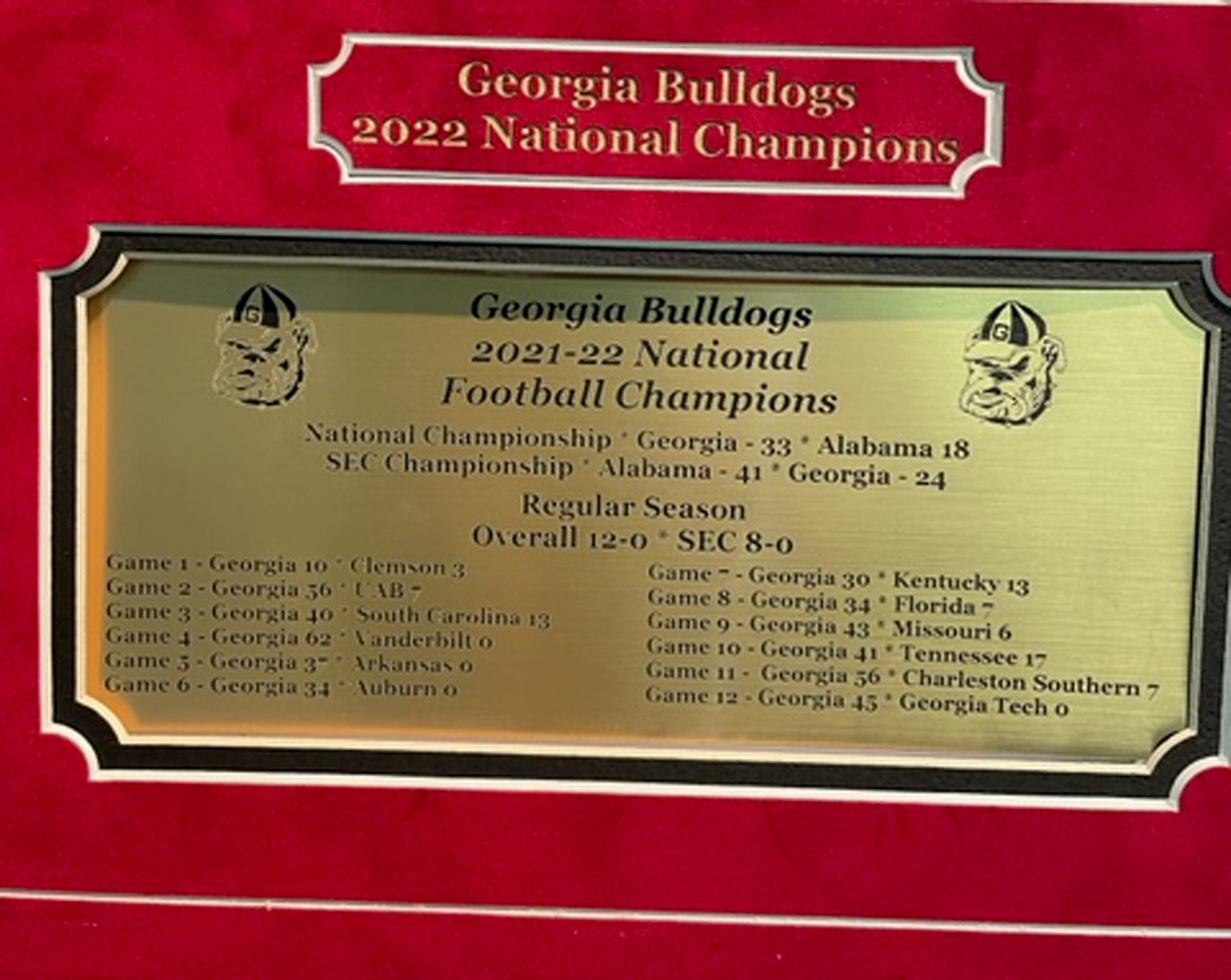 Georgia Bulldogs 2021 National Championship poster