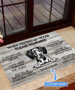 Brittany Spaniel Visiting My House Dog Lovers DoorMat Housewarming Gift