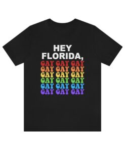 Hey Florida Gay Its Ok To Say Anti Unisex Shirt