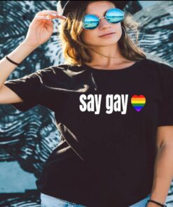 Say Gay Florida Bill Against LGTBQ Rights T Shirt