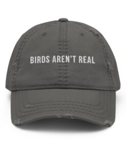 Birds Aren't Real Pigeons Are Liars Cap Father's Day Hat