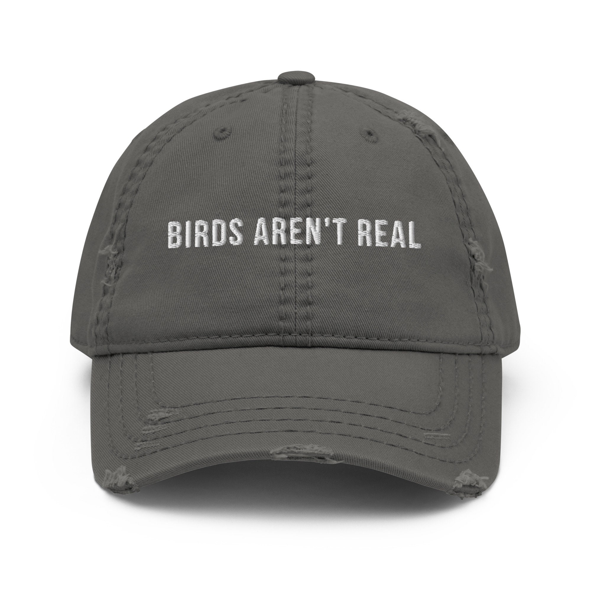 Birds Aren't Real Pigeons Are Liars Cap Father's Day Hat